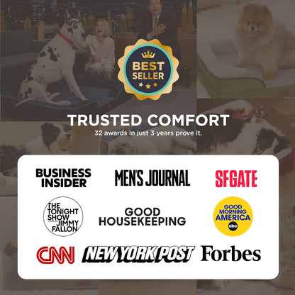 Cama Ortopédica para Perros de Tamaño Mediano - Cama Lavable e Impermeable para Perros Pequeños y Medianos y Gatos, Sofá Cómodo Tipo Sillón para Gatos con Funda Removible y Lavable, Cama para Mascotas con Base Antideslizante, Gris, 28